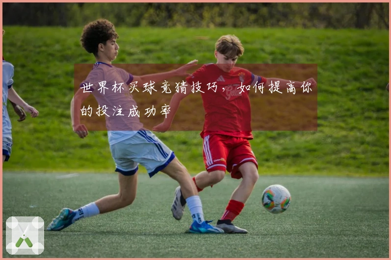 世界杯买球竞猜技巧，如何提高你的投注成功率