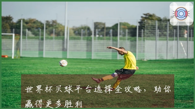 世界杯买球平台选择全攻略，助你赢得更多胜利