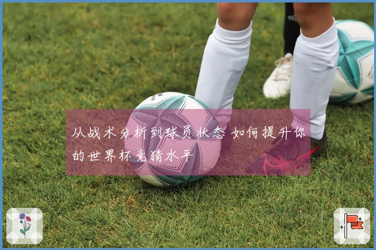 从战术分析到球员状态 如何提升你的世界杯竞猜水平