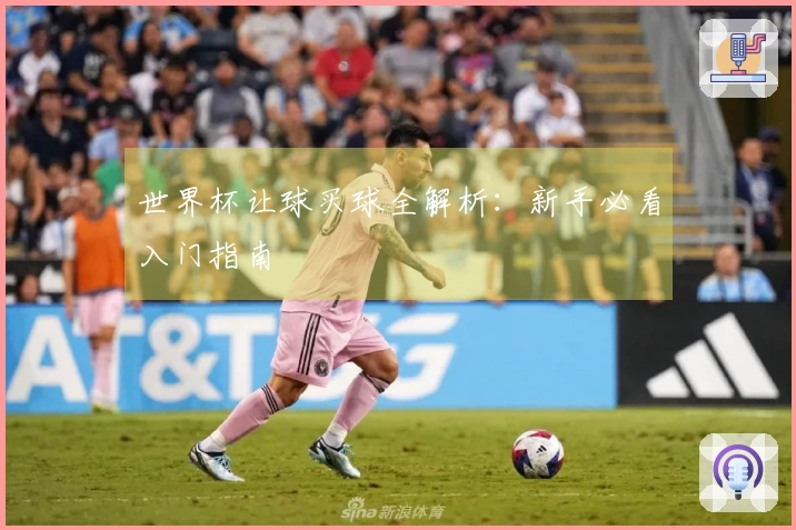 世界杯让球买球全解析：新手必看入门指南