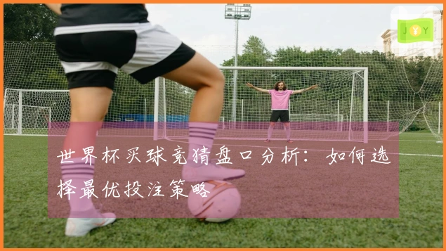 世界杯买球竞猜盘口分析：如何选择最优投注策略