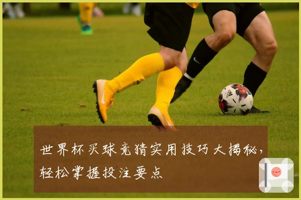 世界杯买球竞猜实用技巧大揭秘，轻松掌握投注要点