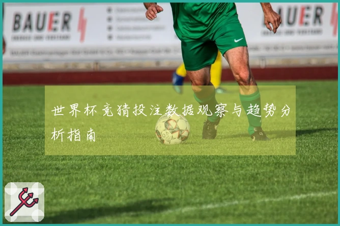 世界杯竞猜投注数据观察与趋势分析指南
