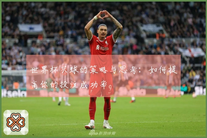 世界杯买球的策略与思考：如何提高你的投注成功率