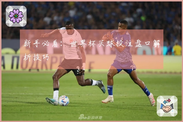 新手必看：世界杯买球投注盘口解析技巧