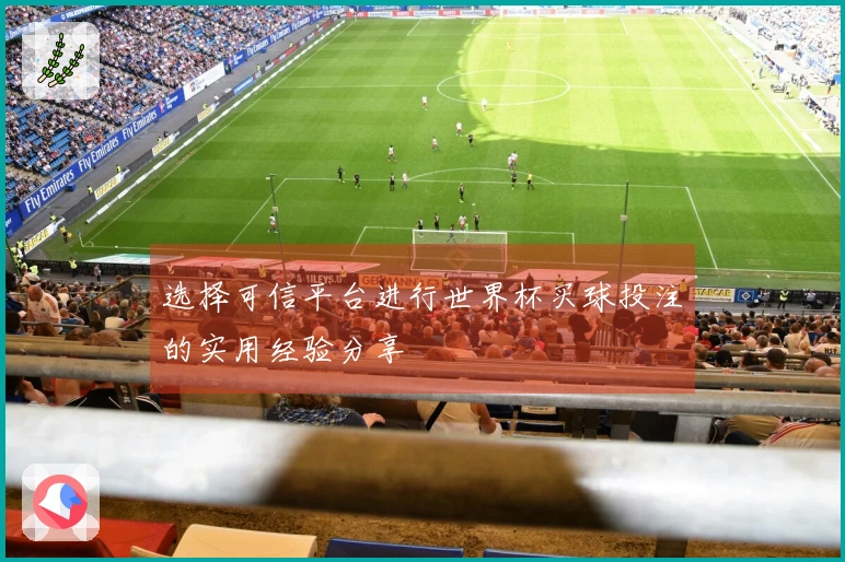 选择可信平台进行世界杯买球投注的实用经验分享