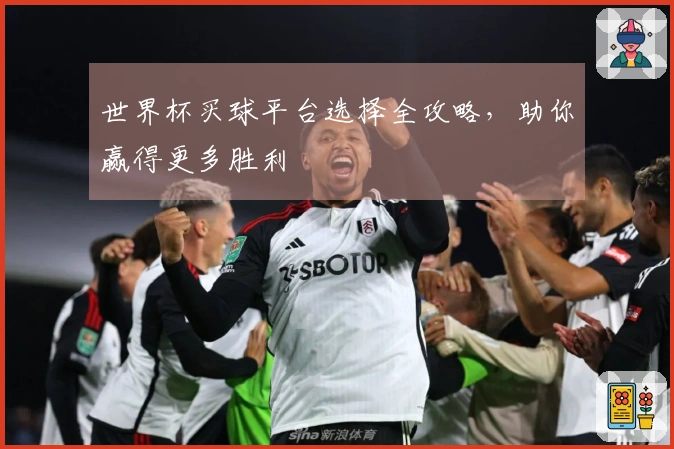世界杯买球平台选择全攻略，助你赢得更多胜利