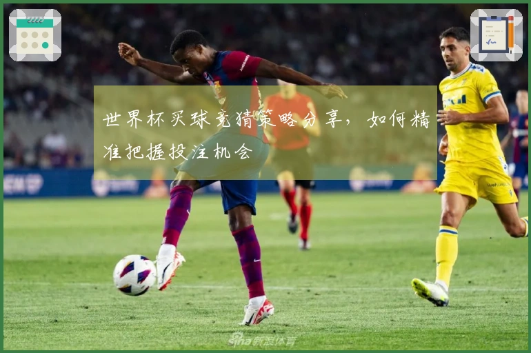 世界杯买球竞猜策略分享，如何精准把握投注机会