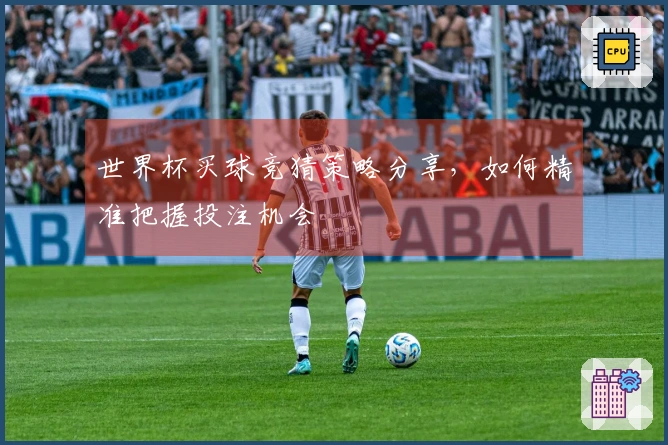 世界杯买球竞猜策略分享，如何精准把握投注机会