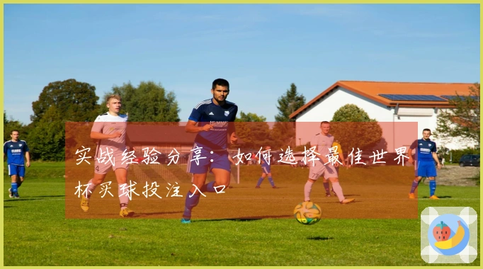 实战经验分享：如何选择最佳世界杯买球投注入口