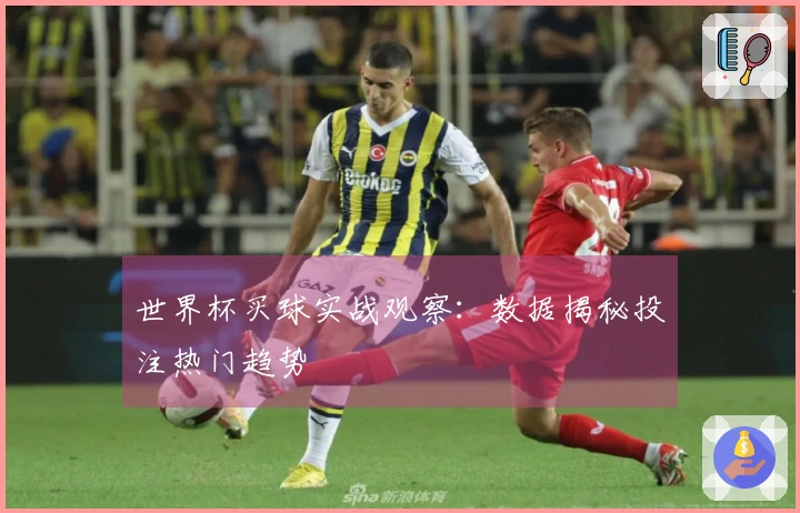 世界杯买球实战观察：数据揭秘投注热门趋势