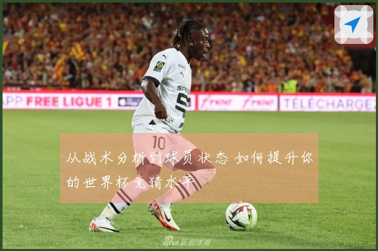 从战术分析到球员状态 如何提升你的世界杯竞猜水平